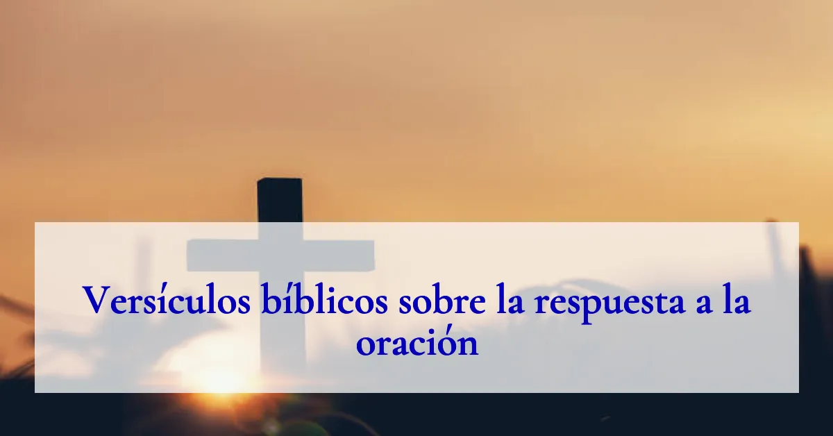 Versículos bíblicos sobre la respuesta a la oración