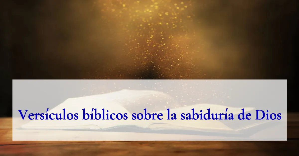 Versículos bíblicos sobre la sabiduría de Dios