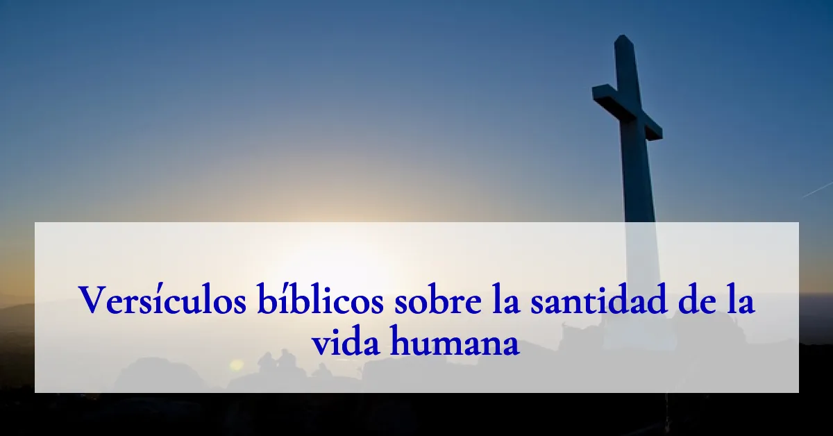 Versículos bíblicos sobre la santidad de la vida humana