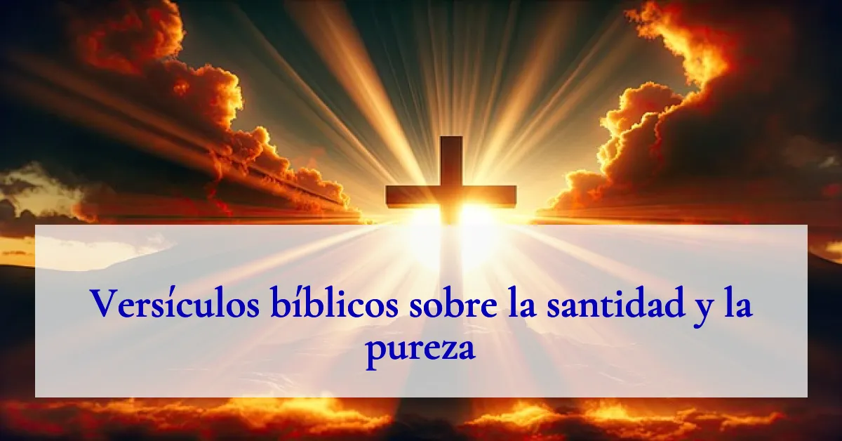 Versículos bíblicos sobre la santidad y la pureza