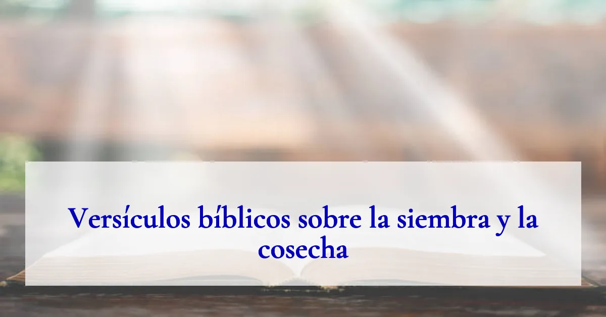 Versículos bíblicos sobre la siembra y la cosecha