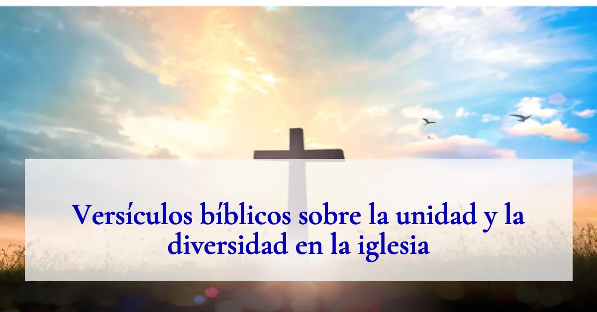 Versículos bíblicos sobre la unidad y la diversidad en la iglesia