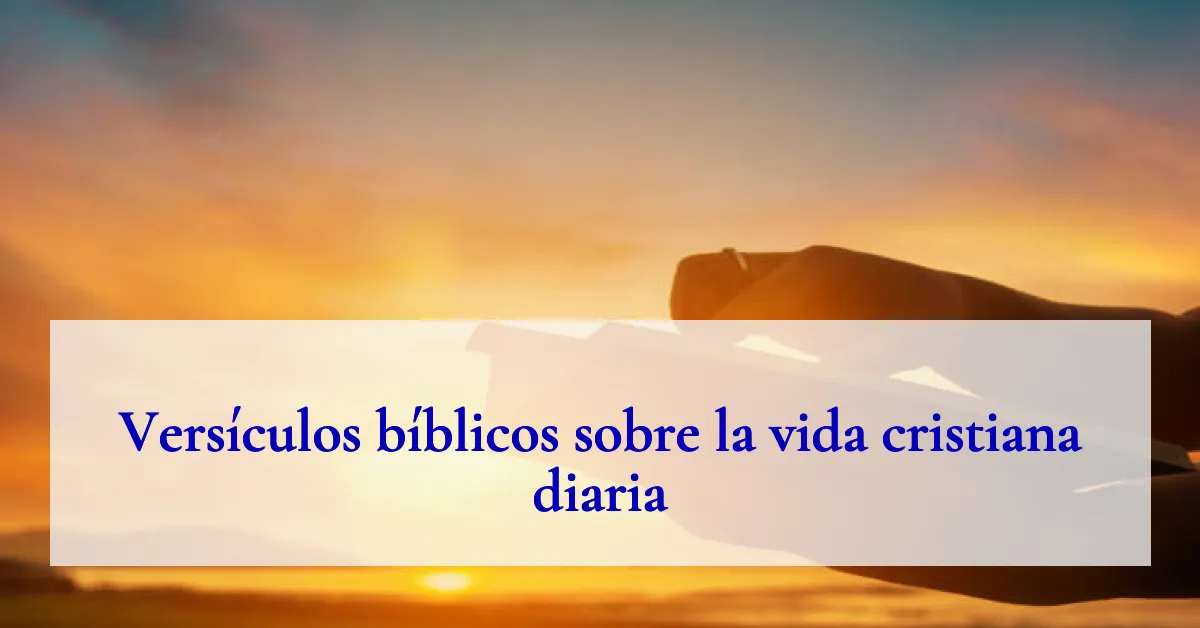Versículos bíblicos sobre la vida cristiana diaria