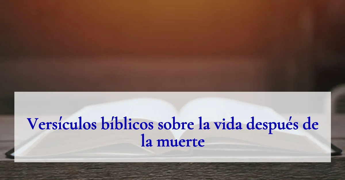 Versículos bíblicos sobre la vida después de la muerte