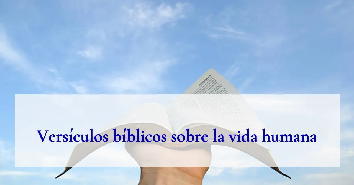 Versículos bíblicos sobre la vida humana