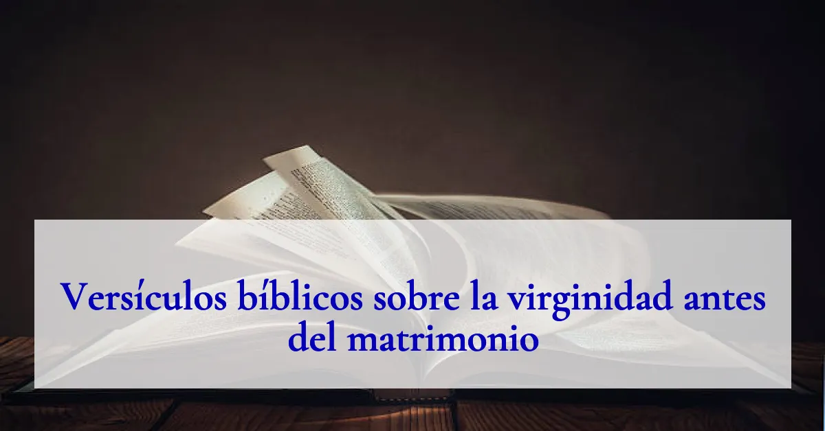 Versículos bíblicos sobre la virginidad antes del matrimonio