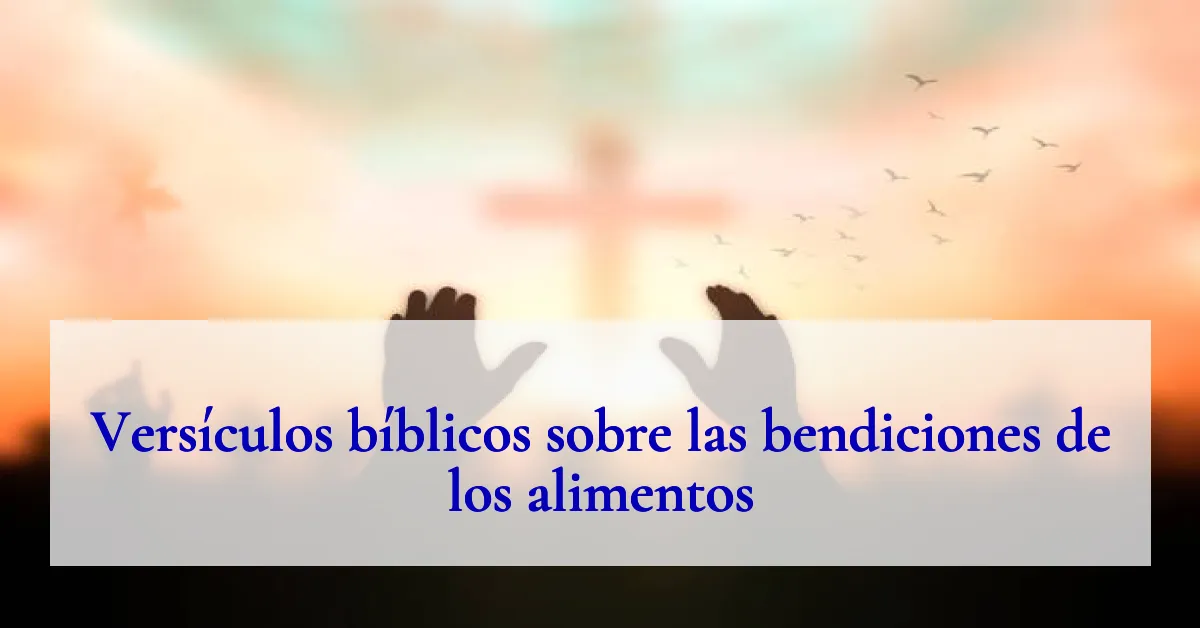Versículos bíblicos sobre las bendiciones de los alimentos