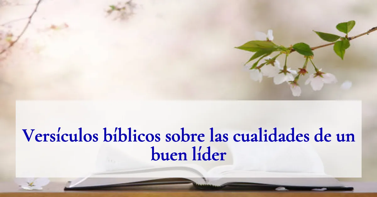 Versículos bíblicos sobre las cualidades de un buen líder