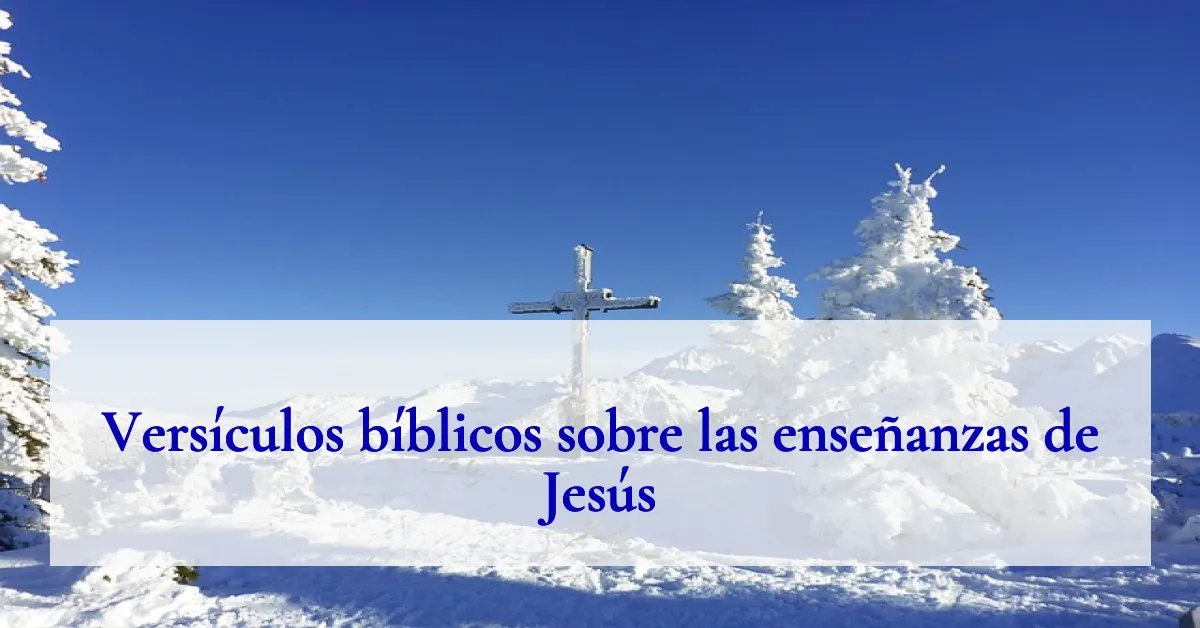Versículos bíblicos sobre las enseñanzas de Jesús