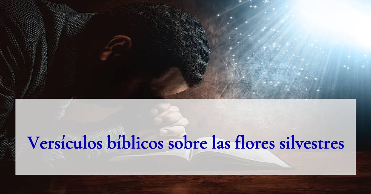 Versículos bíblicos sobre las flores silvestres