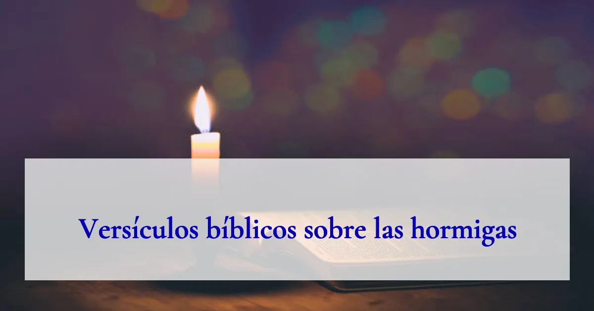 Versículos bíblicos sobre las hormigas