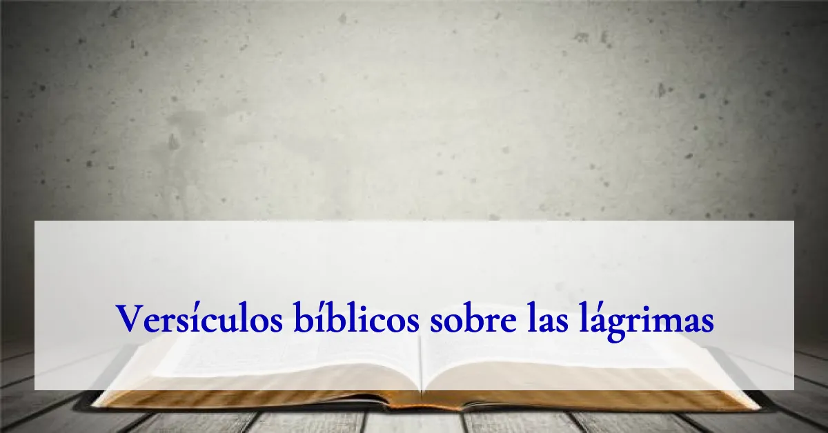 Versículos bíblicos sobre las lágrimas