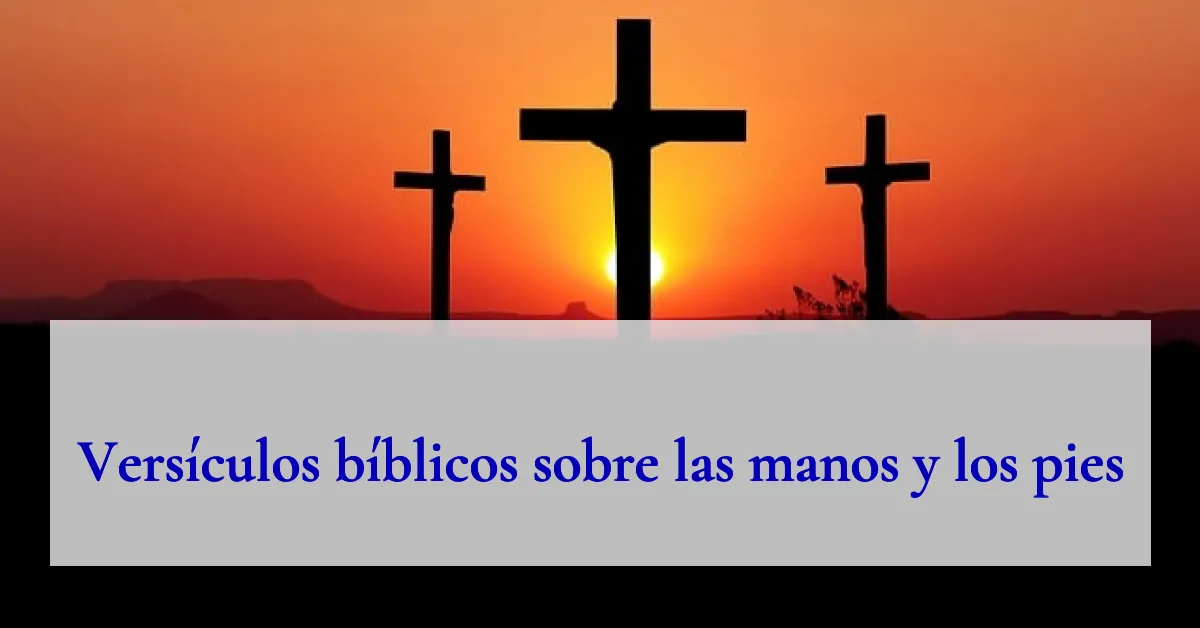 Versículos bíblicos sobre las manos y los pies