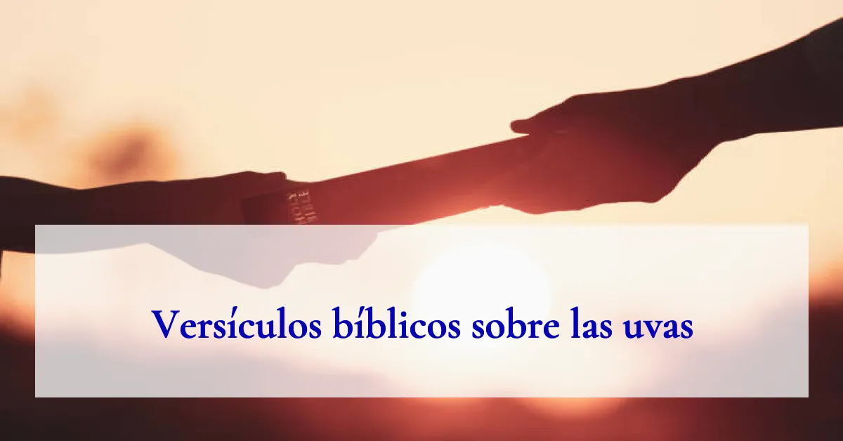 Versículos bíblicos sobre las uvas