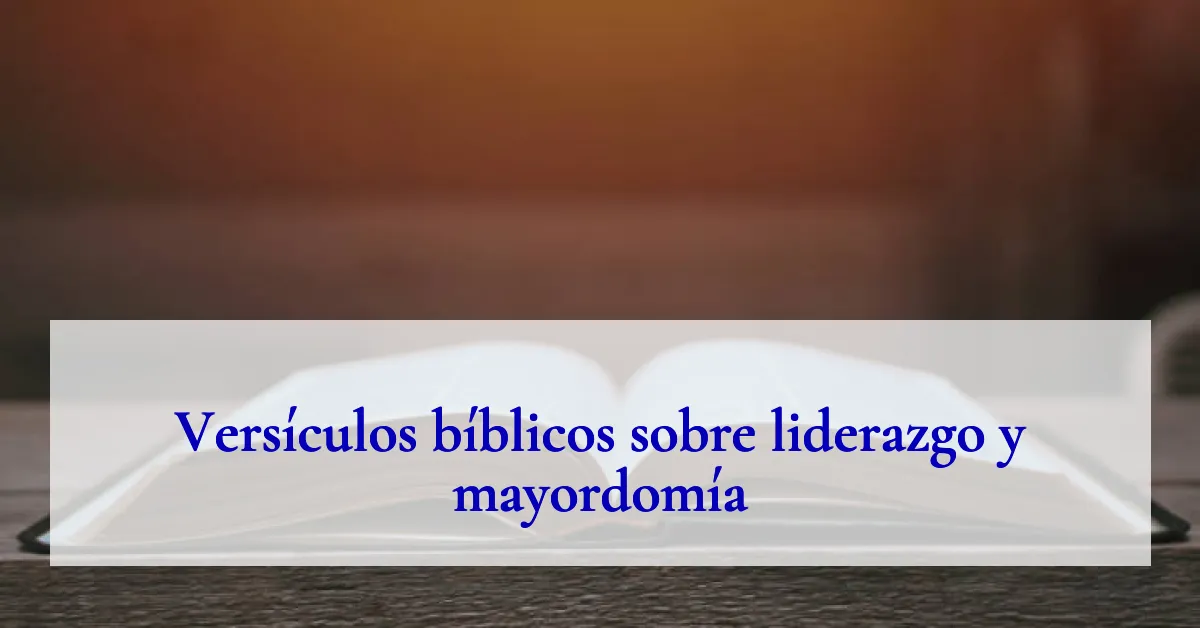 Versículos bíblicos sobre liderazgo y mayordomía