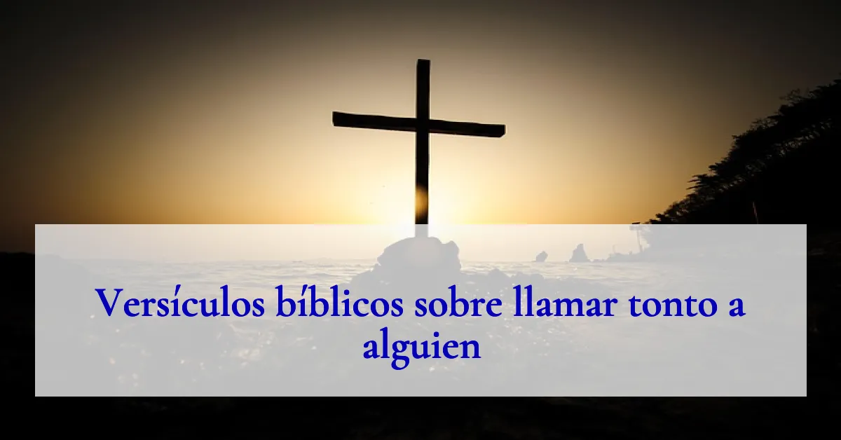 Versículos bíblicos sobre llamar tonto a alguien