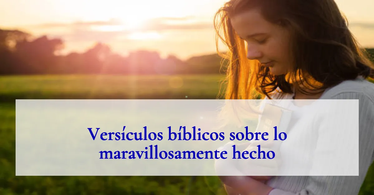 Versículos bíblicos sobre lo maravillosamente hecho