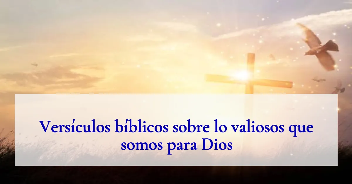 Versículos bíblicos sobre lo valiosos que somos para Dios
