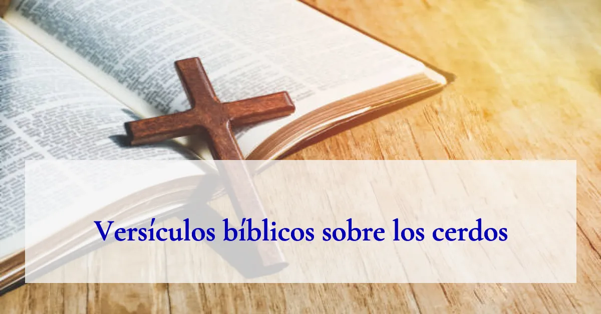 Versículos bíblicos sobre los cerdos