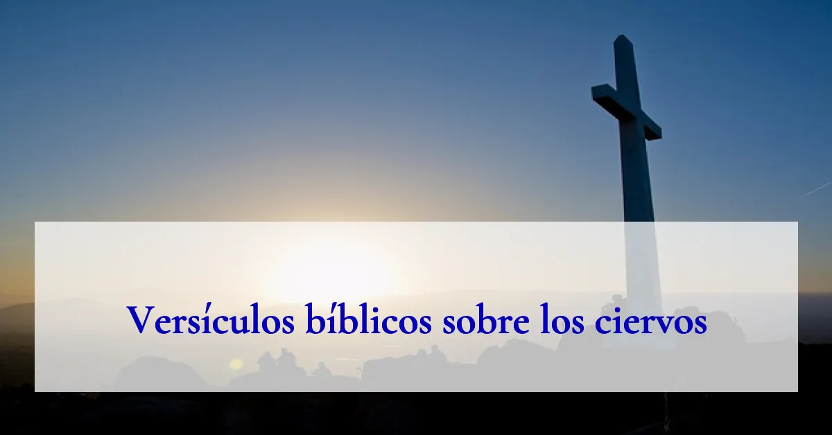 Versículos bíblicos sobre los ciervos