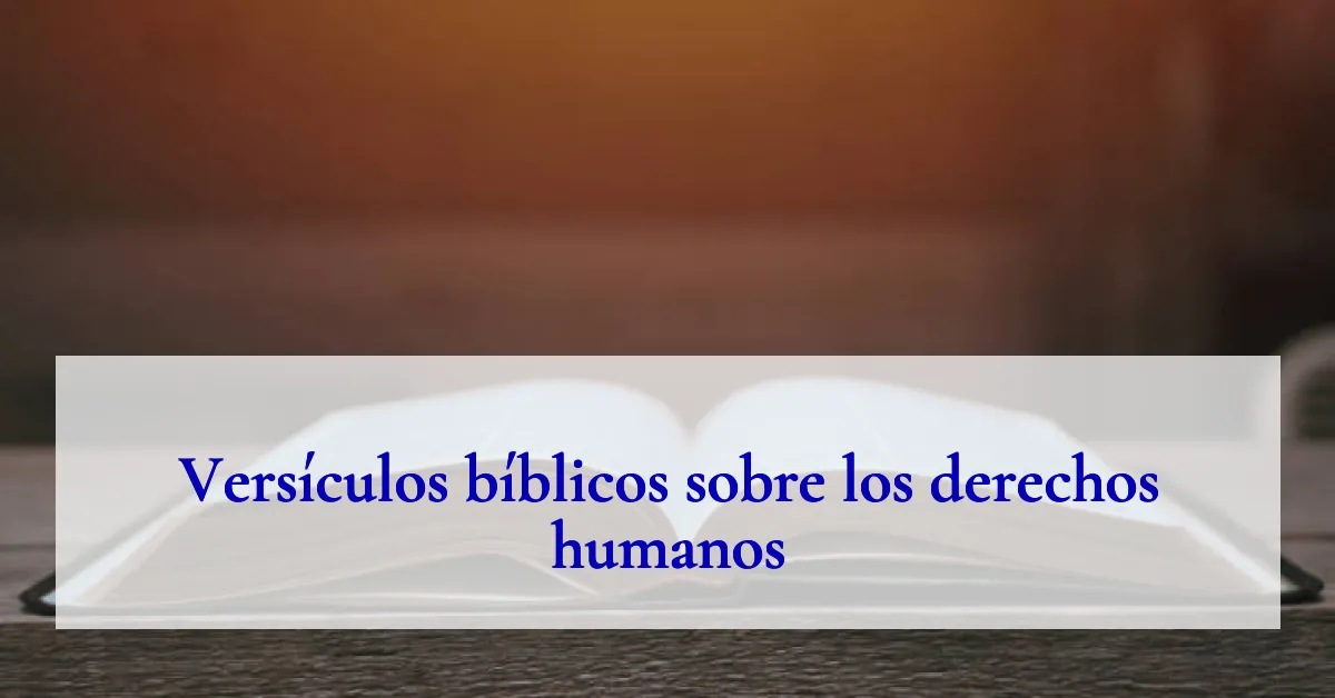Versículos bíblicos sobre los derechos humanos
