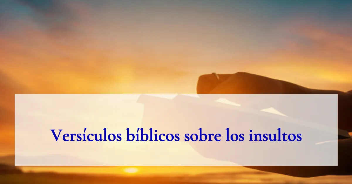 Versículos bíblicos sobre los insultos
