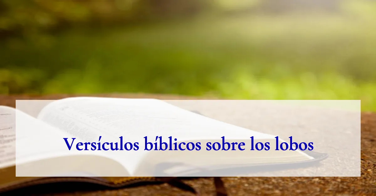 Versículos bíblicos sobre los lobos
