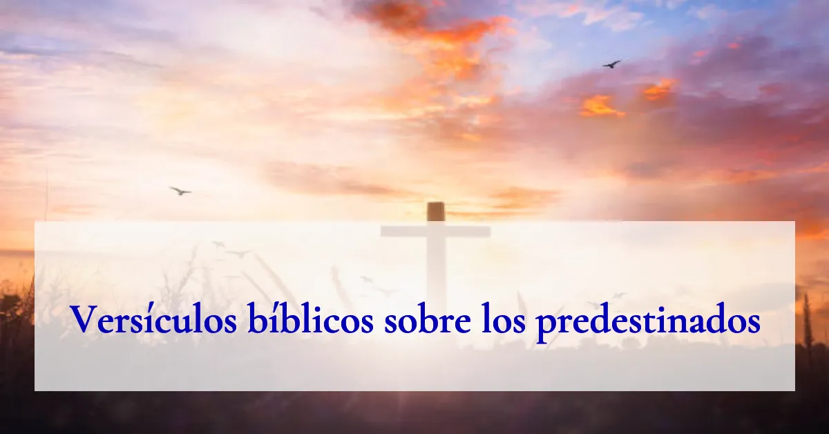 Versículos bíblicos sobre los predestinados