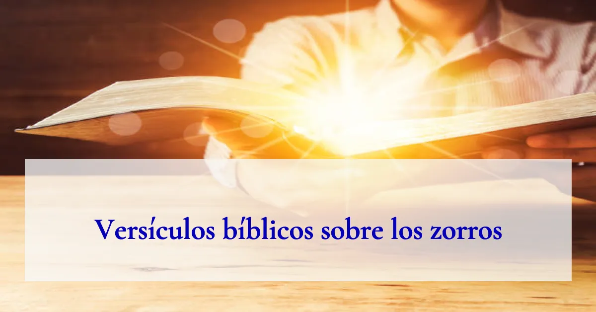 Versículos bíblicos sobre los zorros