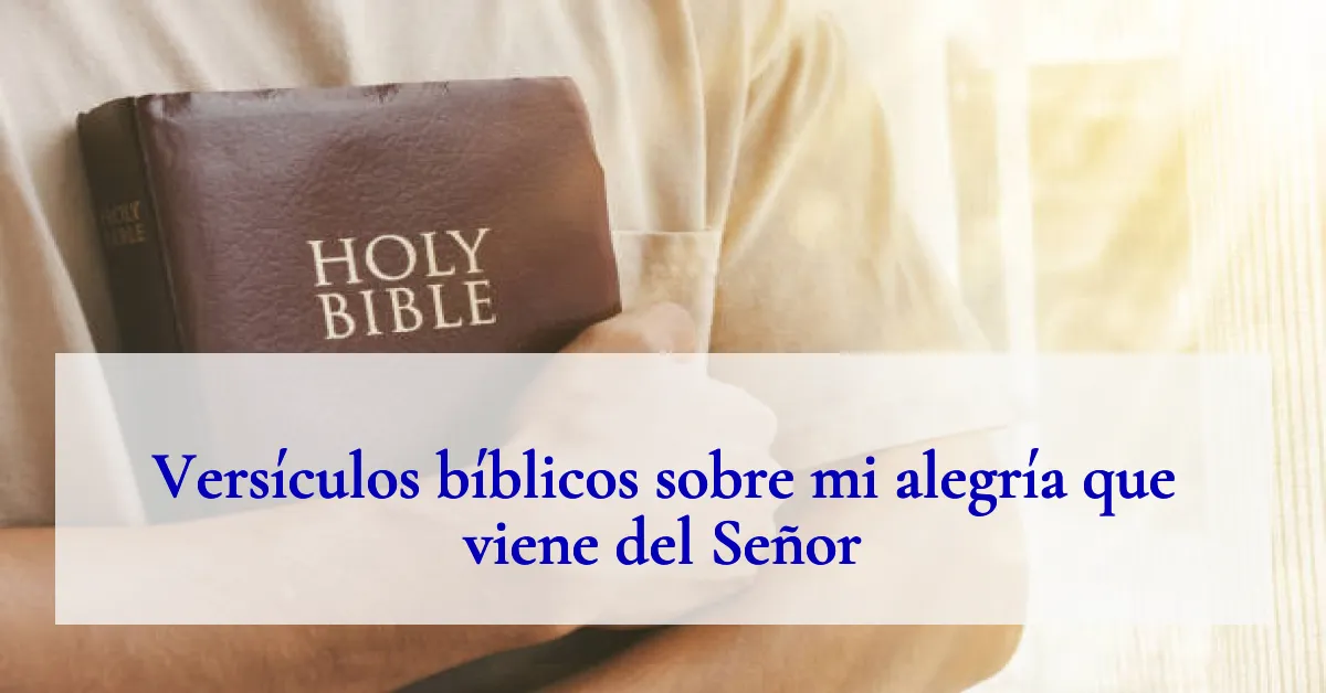 Versículos bíblicos sobre mi alegría que viene del Señor
