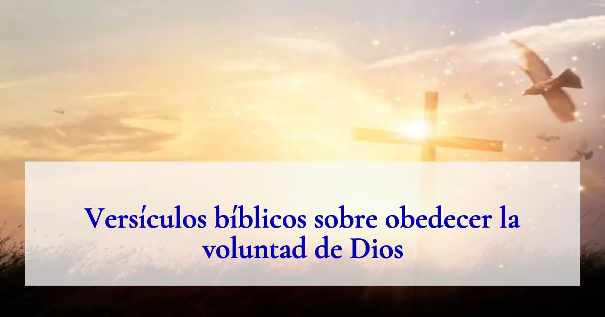 Versículos bíblicos sobre obedecer la voluntad de Dios