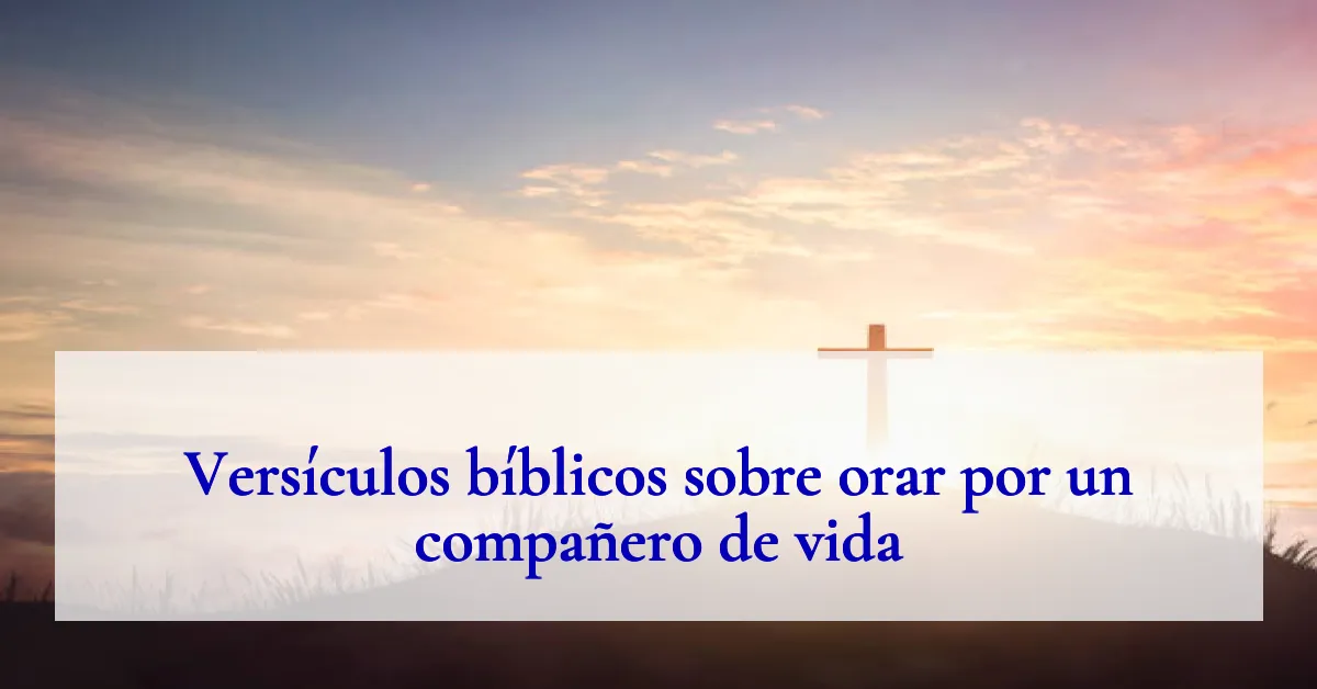 Versículos bíblicos sobre orar por un compañero de vida