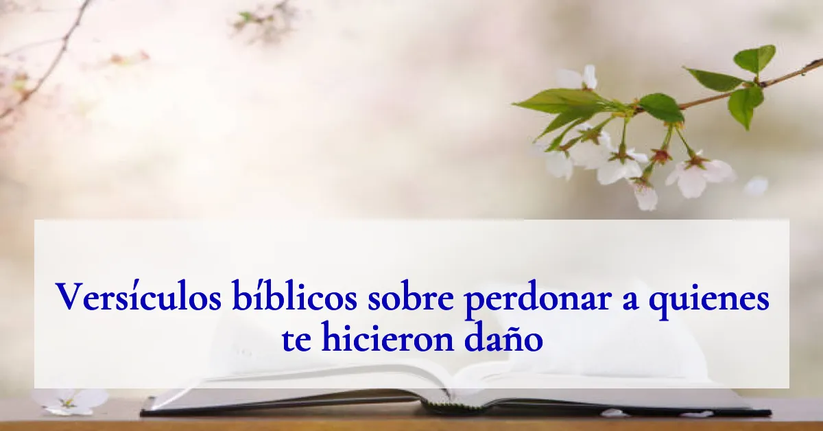 Versículos bíblicos sobre perdonar a quienes te hicieron daño