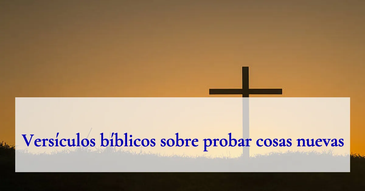 Versículos bíblicos sobre probar cosas nuevas