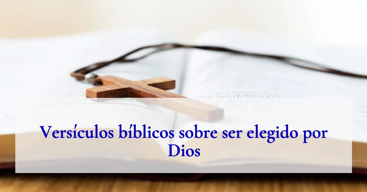 Versículos bíblicos sobre ser elegido por Dios