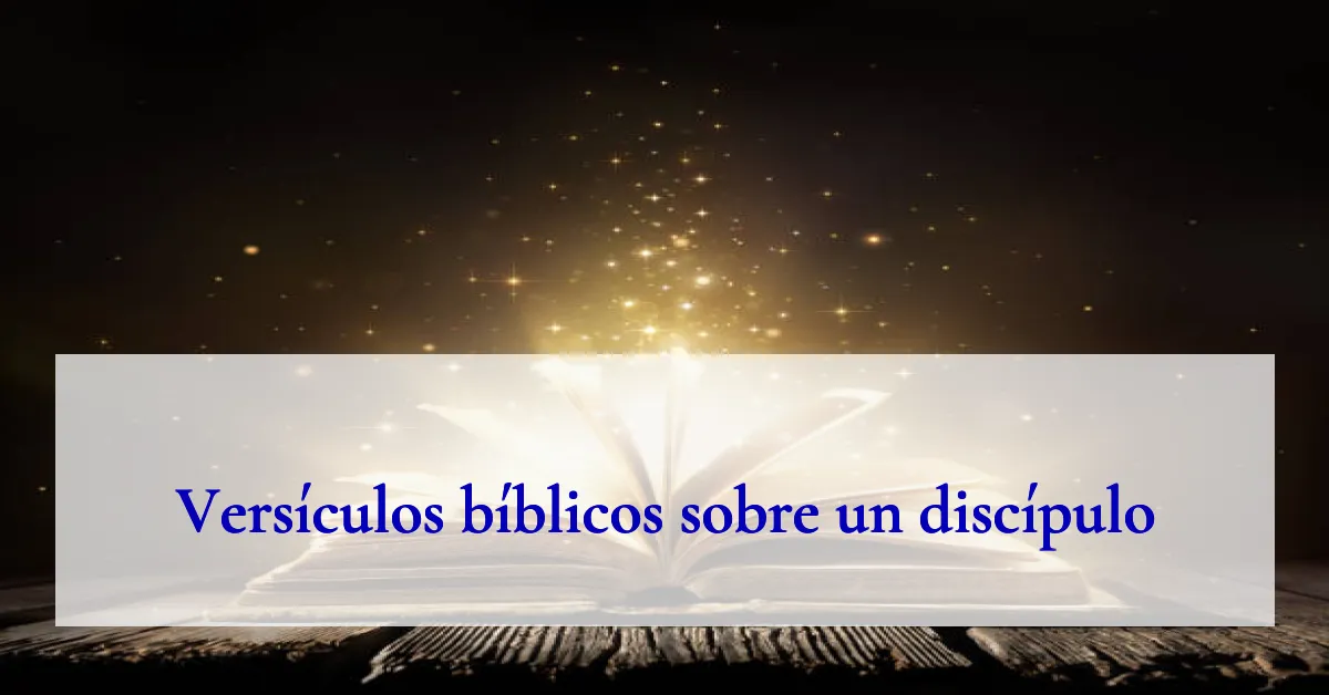 Versículos bíblicos sobre un discípulo