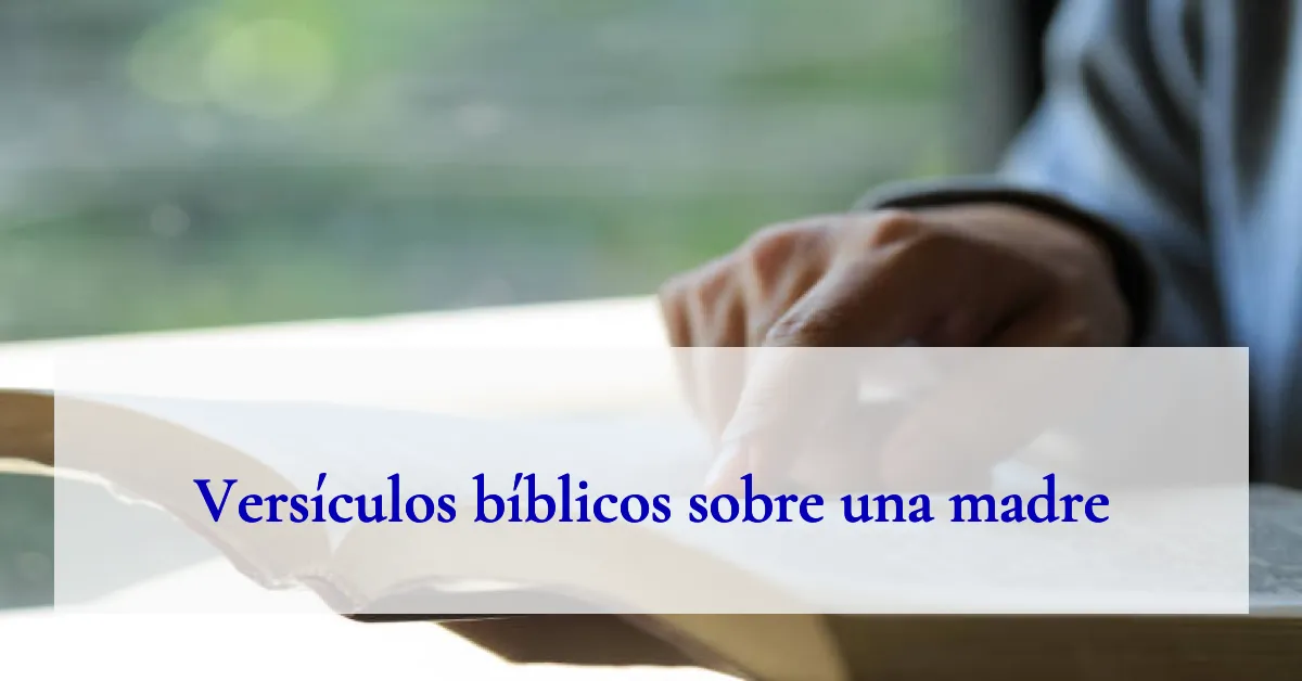 Versículos bíblicos sobre una madre