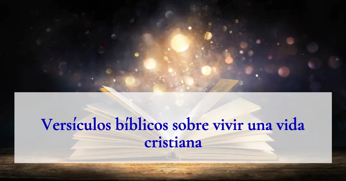 Versículos bíblicos sobre vivir una vida cristiana