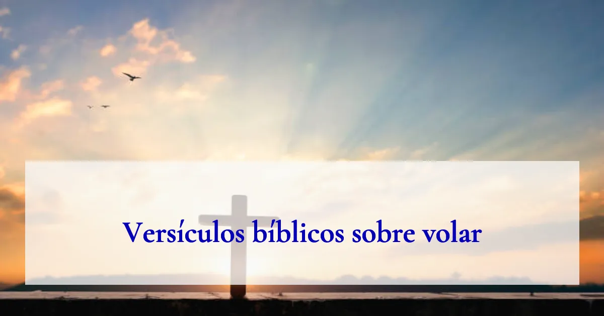 Versículos bíblicos sobre volar